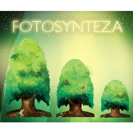 FOTOSYNTEZA